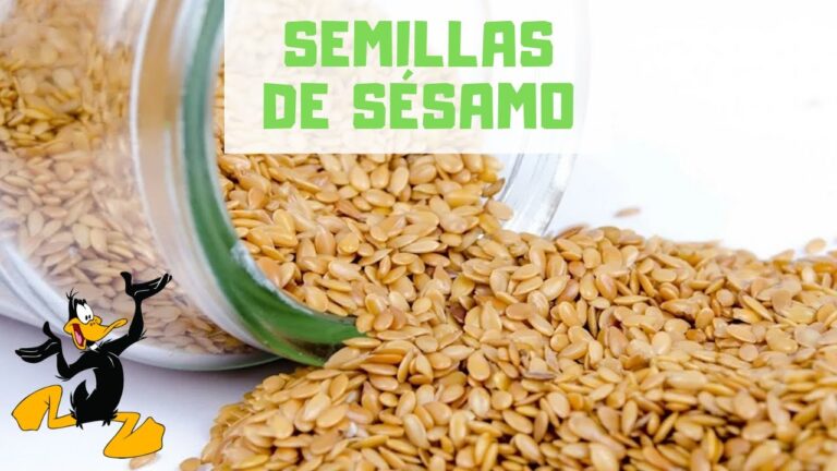 Beneficios del ajonjolí: ¿Para qué sirve?