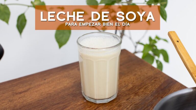 Receta fácil para hacer leche de soya molida en casa