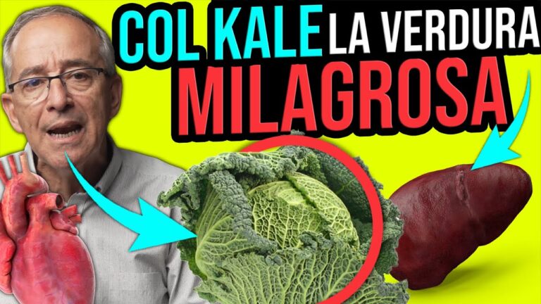 Recetas deliciosas con col verdura