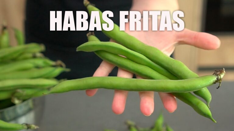 Deliciosas recetas con habas: &iexcl;Sabor e innovaci&oacute;n en tu cocina!
