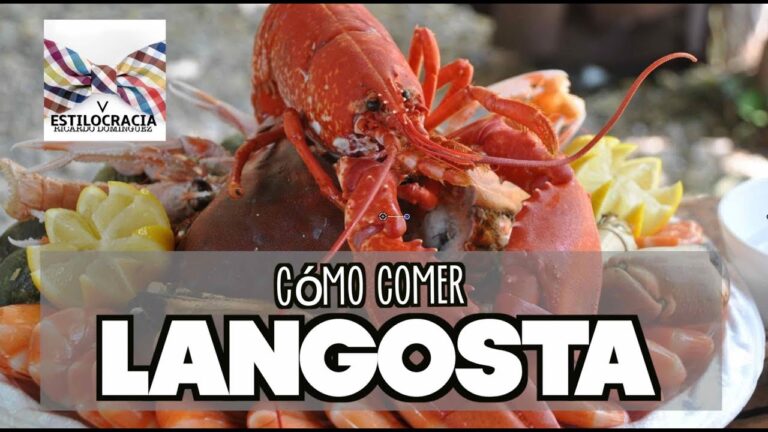 Cómo disfrutar la langosta: consejos y recetas