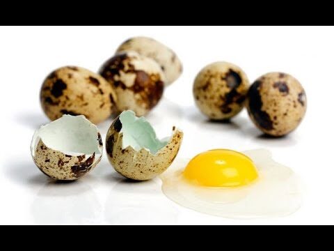 Beneficios nutricionales del huevo de codorniz