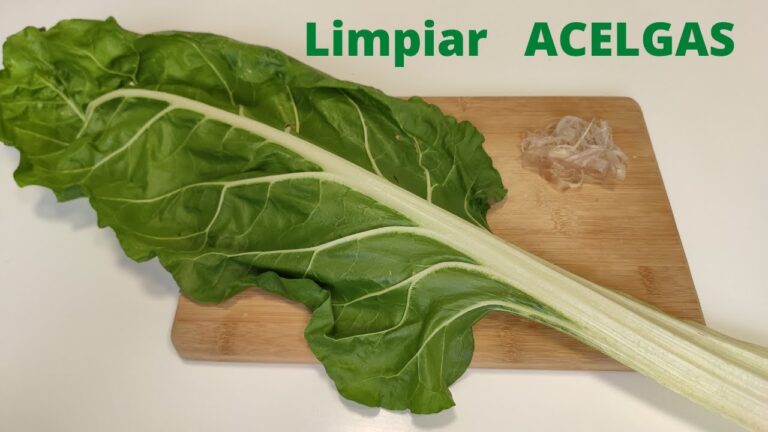 Guía para limpiar acelgas de forma eficiente