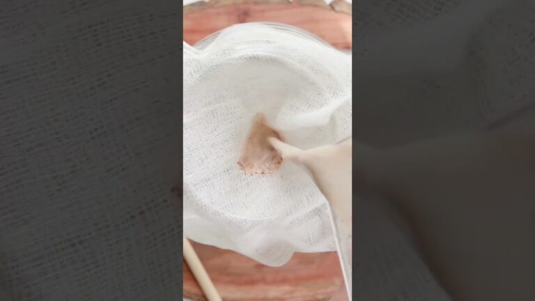 Ingredientes óptimos para hacer horchata de alta calidad en casa