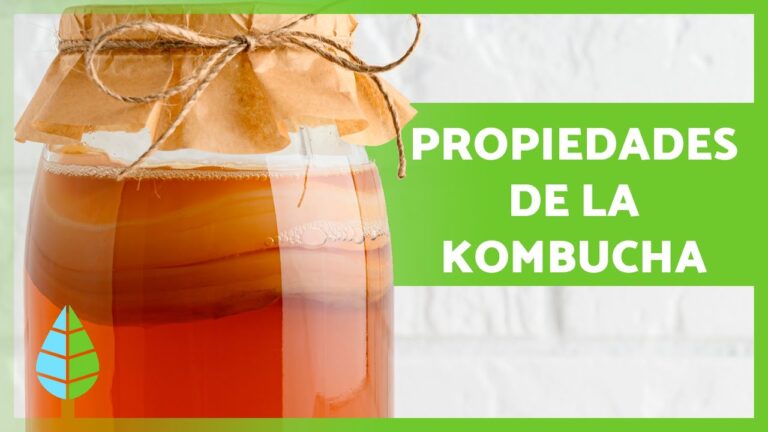 Kombucha: ¿Qué es y para qué sirve?