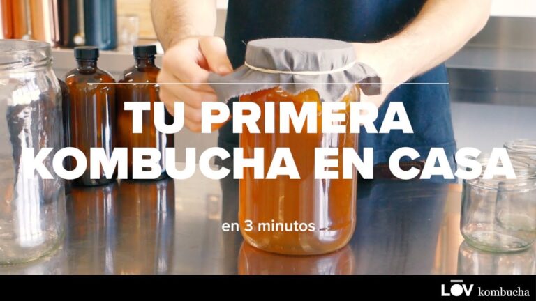 C&oacute;mo hacer kombucha casera: gu&iacute;a completa