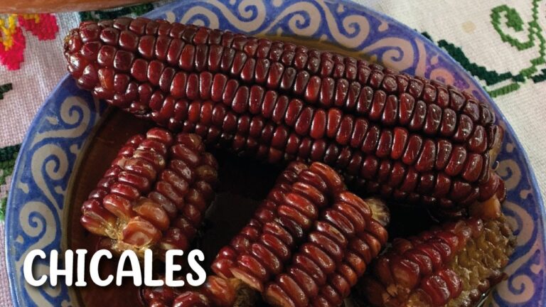 Chicales que Son: Descubre su Esencia y Significado