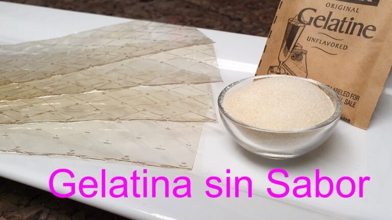 Descubre la Mejor Gelatina Sin Sabor