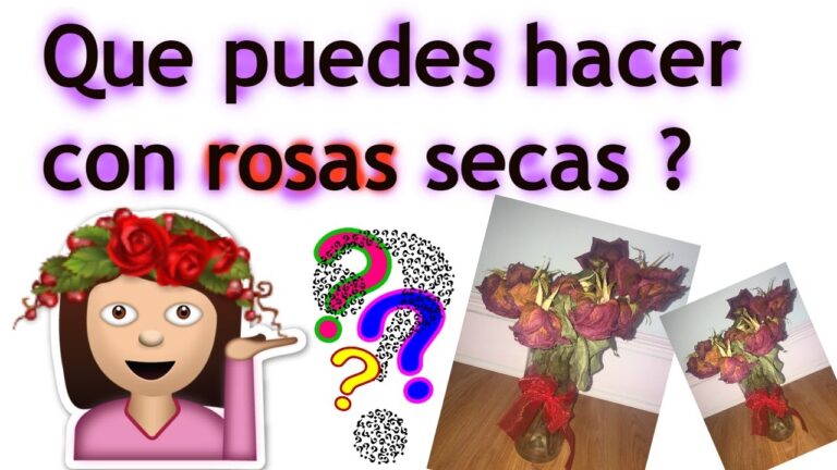 Ideas creativas para aprovechar rosas secas