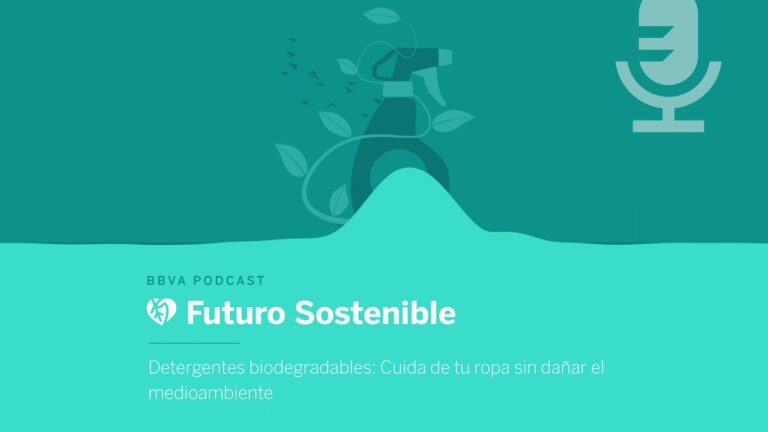 Marcas de detergentes biodegradables: Una opci&oacute;n sostenible para el hogar