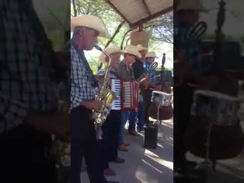 Los Güeros de Tepache: Historia y Tradición