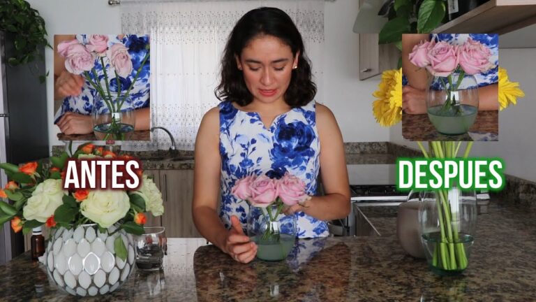 Cómo Revivir una Rosa Marchita