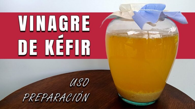 Vinagre de tibicos: beneficios y usos