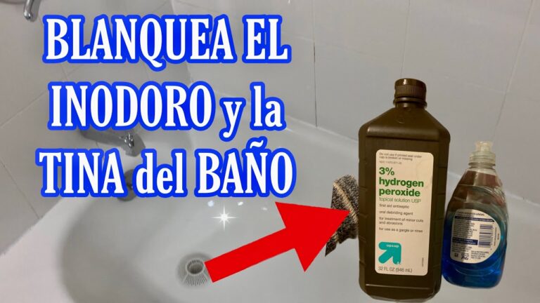 M&eacute;todos Efectivos para Blanquear la Taza del Ba&ntilde;o