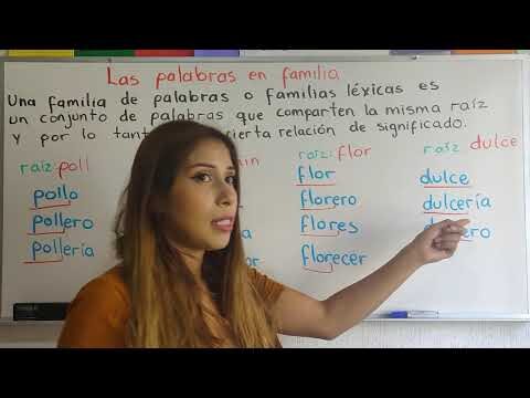 Ra&iacute;z de Pollo: El Secreto de la Poller&iacute;a