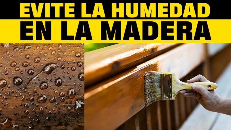 5 métodos efectivos para combatir la humedad en la madera