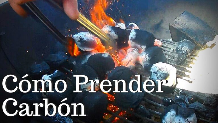 5 Métodos Sencillos para Prender el Carbón Rápidamente