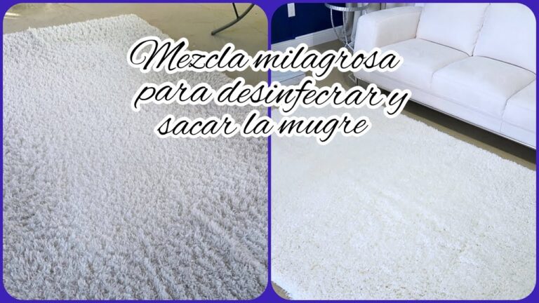 Guía para lavar una alfombra a mano en casa