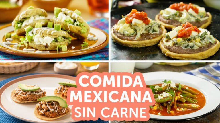 Deliciosos guisados de carne de res deshebrada