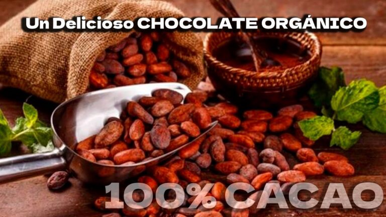 Preparación del cacao: pasos clave para disfrutarlo al máximo