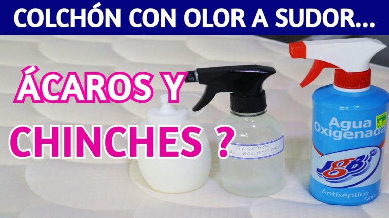 Alcanfor: el remedio natural para eliminar las chinches