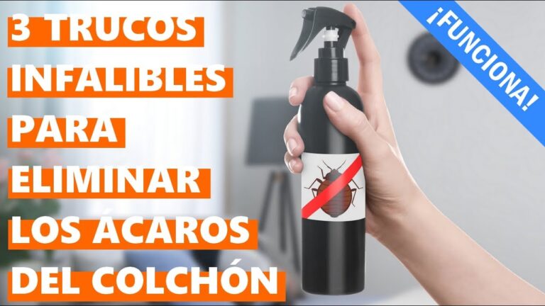 Eliminar ácaros del colchón: remedios caseros eficaces