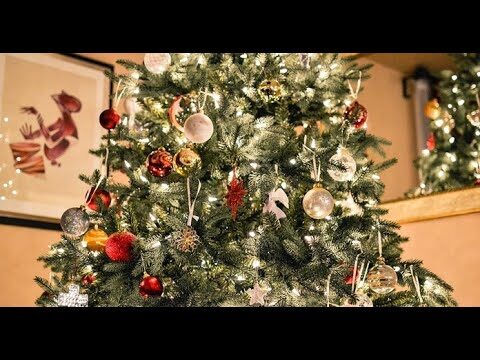 Consejos para cuidar un árbol de navidad natural
