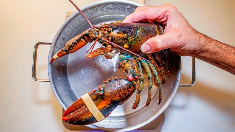 Guía de Tabla de Cocción de Mariscos
