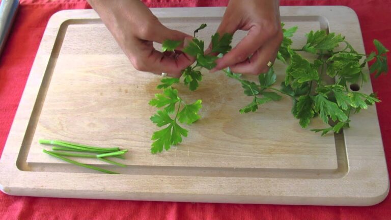 Usos medicinales del ajo y el perejil