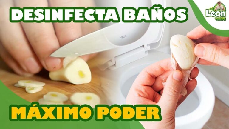 Usos sorprendentes del ajo en el inodoro