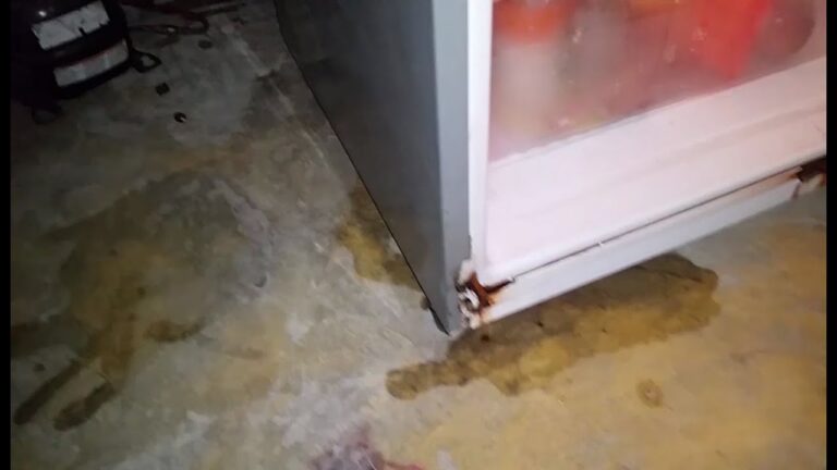 &iquest;Por qu&eacute; el refrigerador gotea agua?