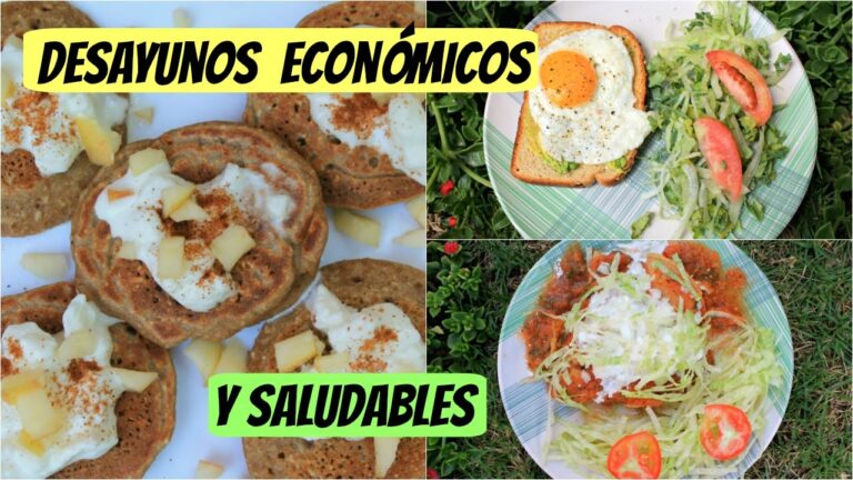 Desayunos Saludables y Econ&oacute;micos: Opciones R&aacute;pidas y Nutritivas