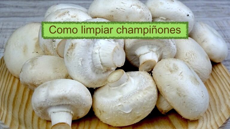 Trucos para blanquear champiñones fácilmente