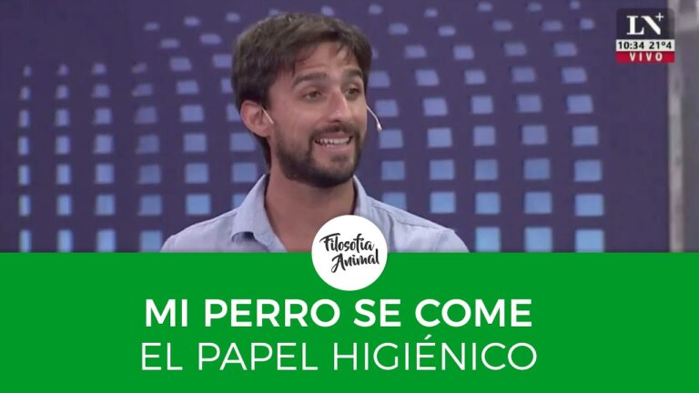 Por qué los perros comen papel de baño