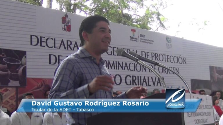 Origen y calidad: el cacao de Grijalva