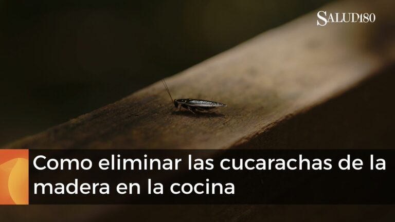 Eliminar los juanes de la cocina: métodos eficaces