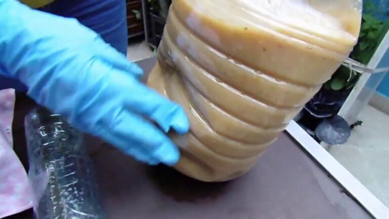 Receta fácil para hacer fertilizante líquido casero