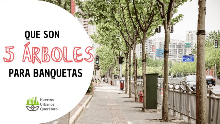 Árboles para embellecer banquetas: Guía completa