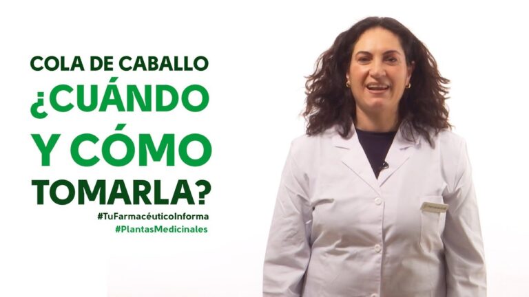 Beneficios y contraindicaciones del t&eacute; de cola de caballo