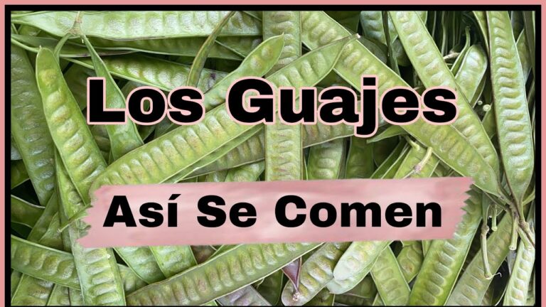 Cómo disfrutar de los guajes: deliciosas formas de comerlos