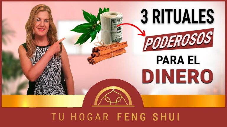 El poder de la canela para potenciar tu negocio