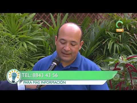 Beneficios del huevo de codorniz: una fuente de nutrientes clave