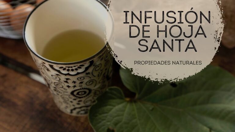 Acuño: Beneficios y Usos Esenciales