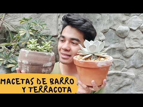 Pros y contras del barro