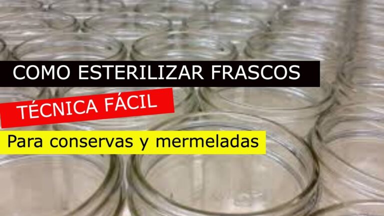 Gu&iacute;a del Mejor Esterilizador de Frascos para Conservas