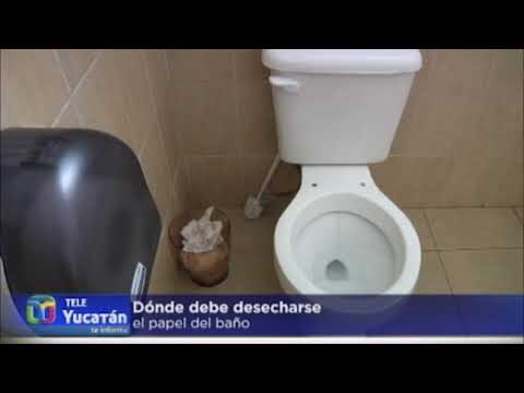 El papel de baño: ¿Tapa el inodoro?