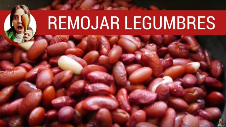 Tiempo ideal para remojar frijoles: ¿cuántas horas son necesarias?