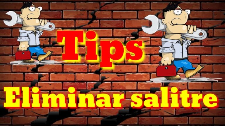 Eliminar el salitre del techo de forma efectiva