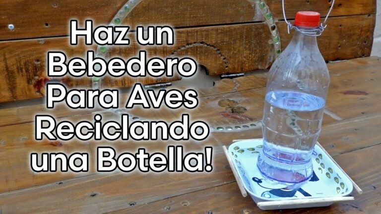 Bebederos Ecológicos para Aves con Botellas Recicladas