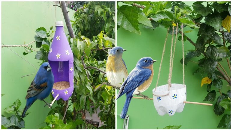 Cómo hacer bebederos para pájaros con botellas plásticas